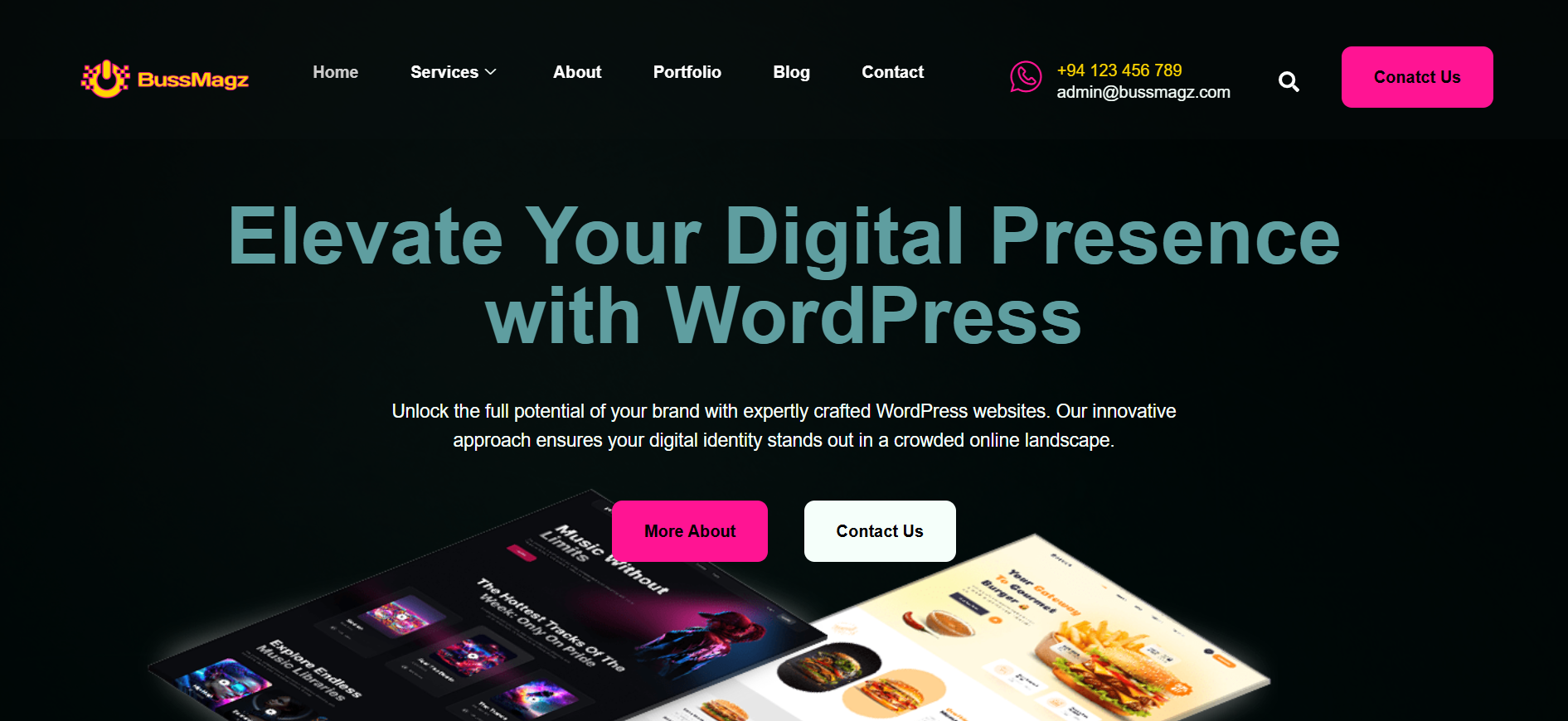 BussMagz WordPress Agency